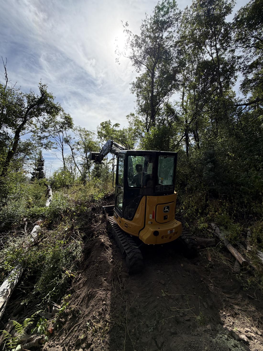 Excavator clearing an access road through heavy timber